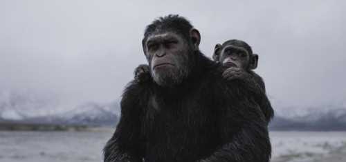 War for the Planet of the Apes